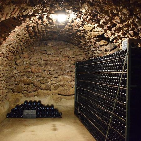 Villa Gite« Le Pressoir » Chez Viticulteur En Biodynamie Avenay-Val-d'Or Exterior foto